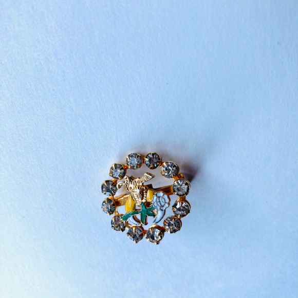 Masonic Daughters of the Nile DofN Rhinestone Wreath and Enamel Brooch Vintage - Picture 6 of 6
